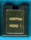 SSSM_Agrippina.jpg (17211 Byte)