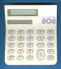 TI-808W.jpg (42306 Byte)