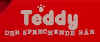 Teddy_1.jpg (9808 Byte)